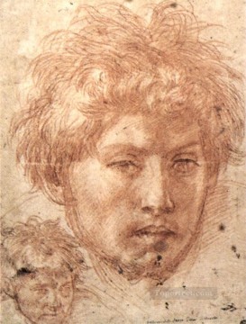 Head Of A Young Man renaissance mannerism Andrea del Sarto Oil Paintings